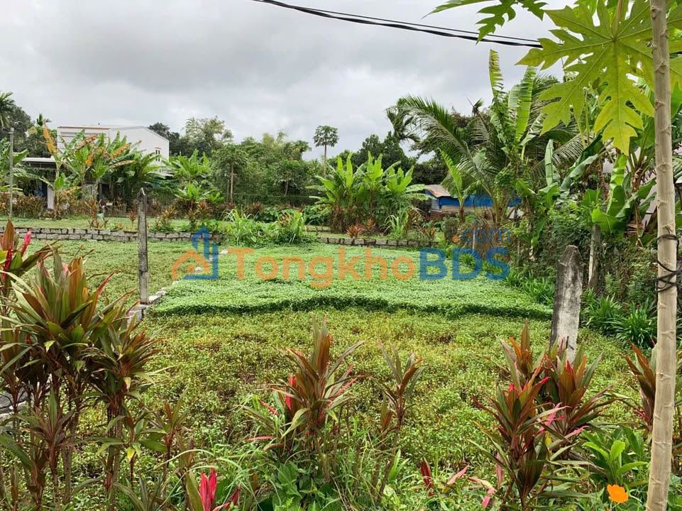 Đất nền Phường Phương Sài 100m² giá 1,3 tỷ - Xây dựng tự do