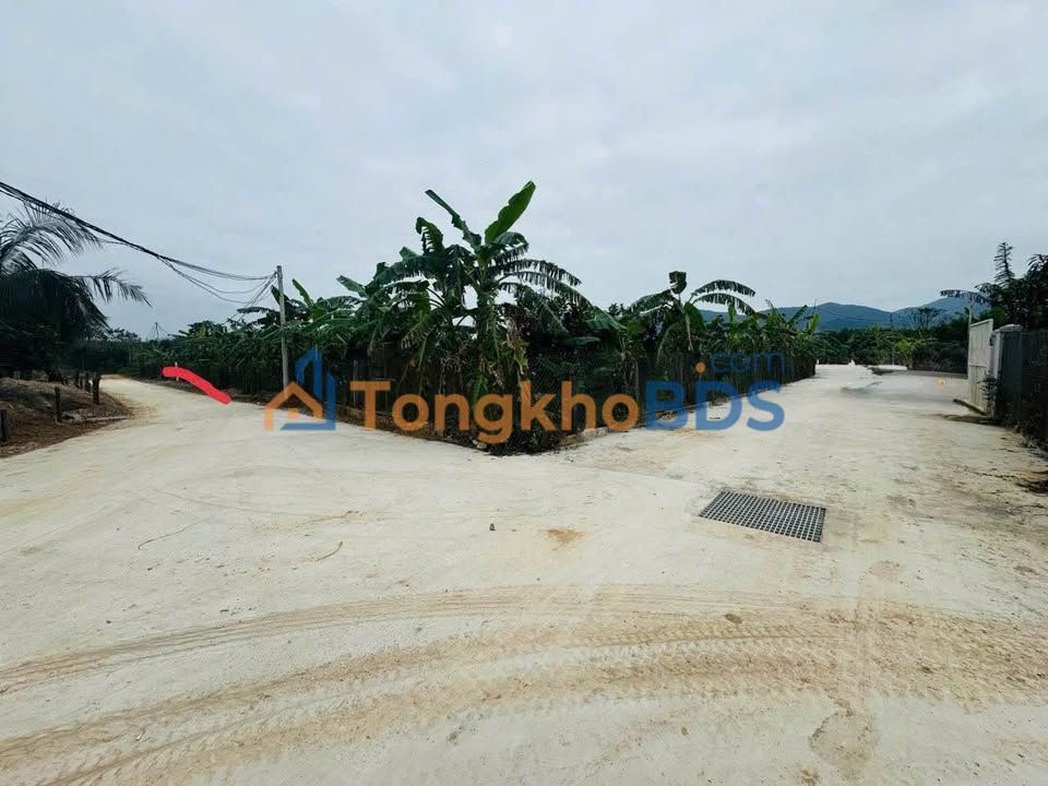 Đất thổ cư 112.3m² Khánh Đông - Sổ hồng sẵn, giá 199 triệu