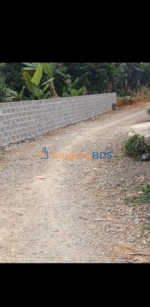 Bán đất 1130m² Hòa Bình, 1.6 tỷ - Sổ đỏ sẵn, gần QLộ 12B