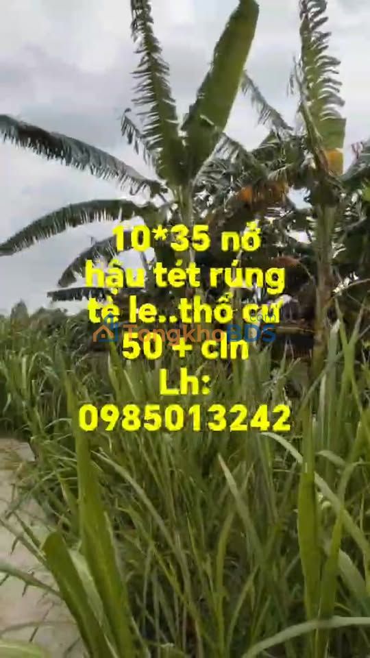 Đất Nền Sóc Trăng 350m² - Mặt Tiền Sông, Giá 200 Triệu