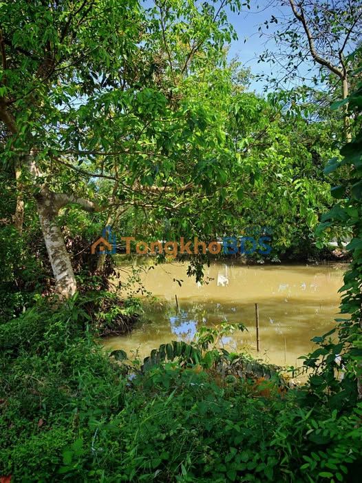 Đất nền Long Xuyên Mỹ Quý 291m² 2 tỷ - Tiềm năng tăng giá