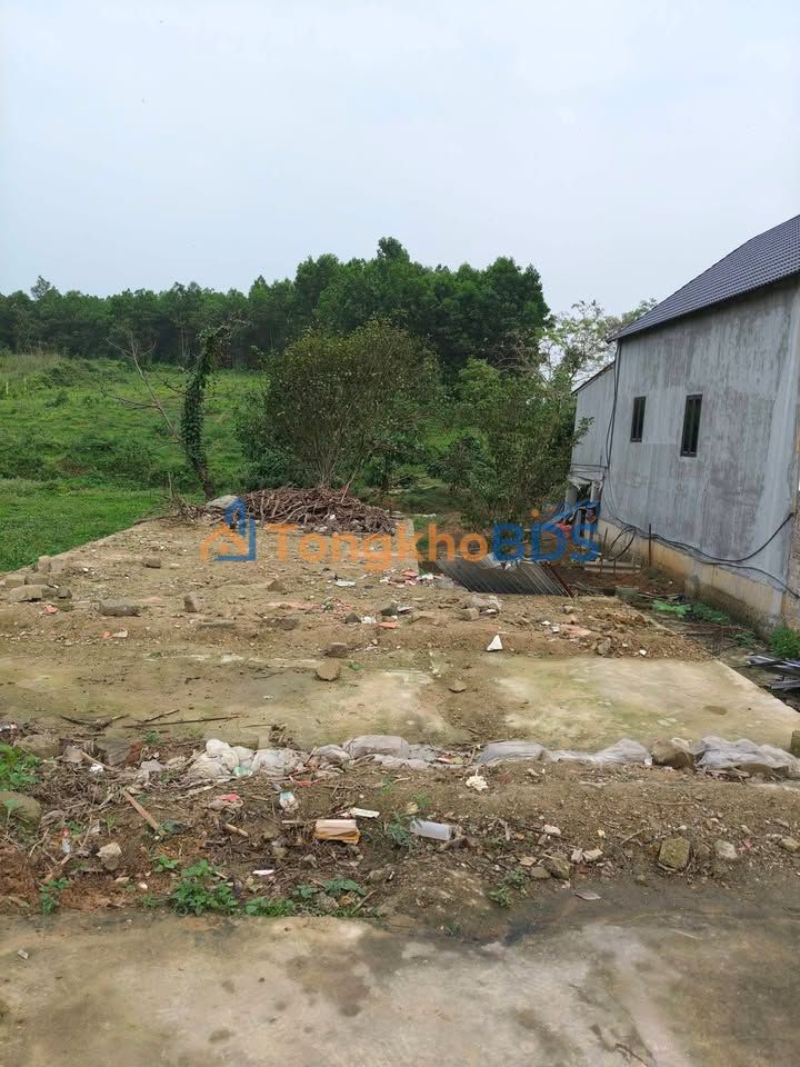 Đất nền Cát Nê, Đại Từ, Thái Nguyên - 600m² Bám đường bê tông, giá hơn 1 tỷ