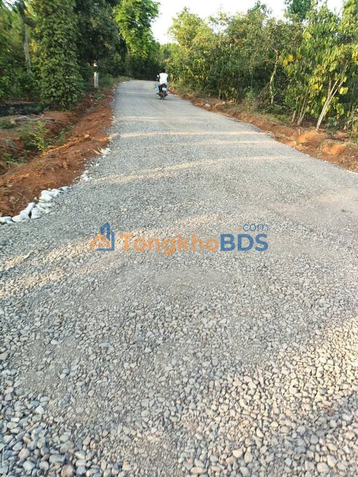 Đất Nền Sổ Đỏ Quảng Thành 200m² - Giá Đầu Tư Chỉ 330 Triệu