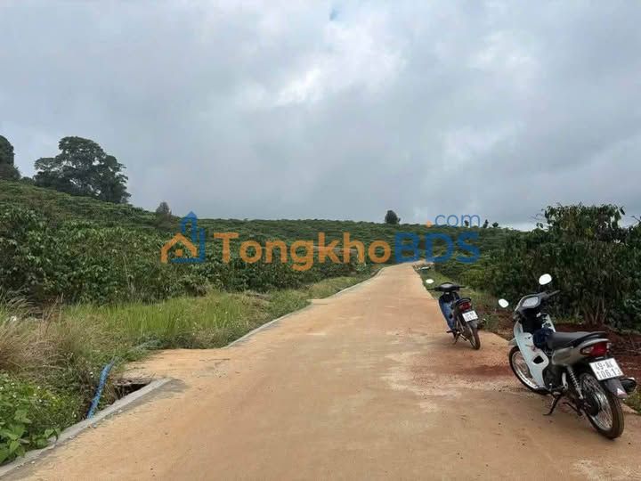 Đất Vườn 12,600m² Đức Trọng - Sổ Trích Lục Sẵn Sàng