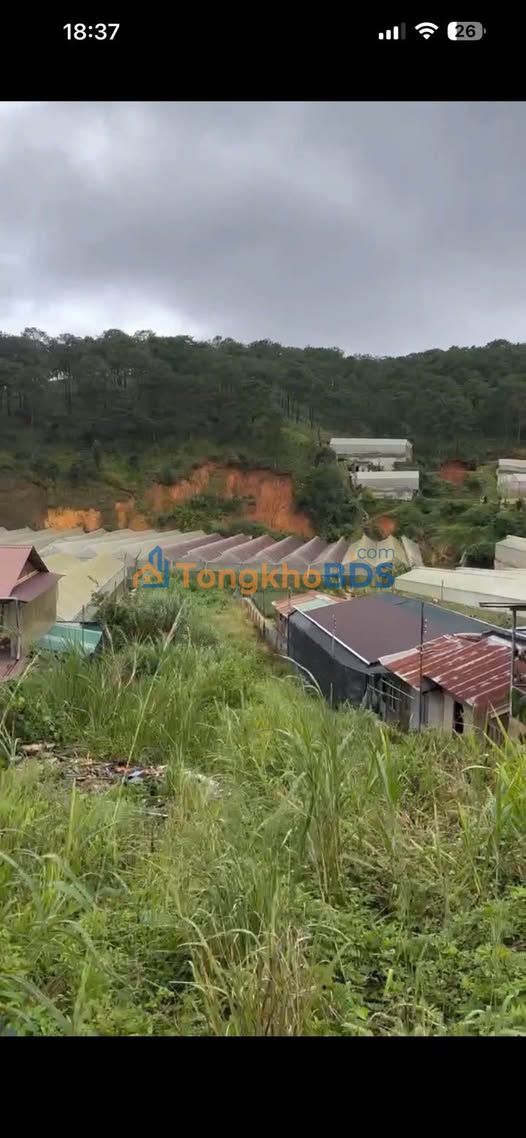 Đất Vàng Đà Lạt - Mặt Tiền Triệu Việt Vương 1117m² Thổ Cư Sẵn Sàng Xây Dựng