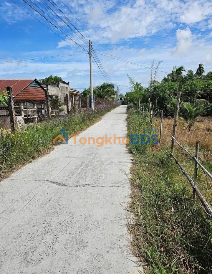 Nhà cấp 4 Đức Hòa 215m² Sổ hồng riêng - Giá 1.75 tỷ