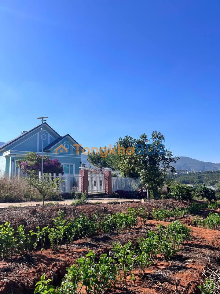 Đất nền ven Đà Lạt 200m² giá chỉ 6xx triệu - Sẵn thổ cư, view thoáng