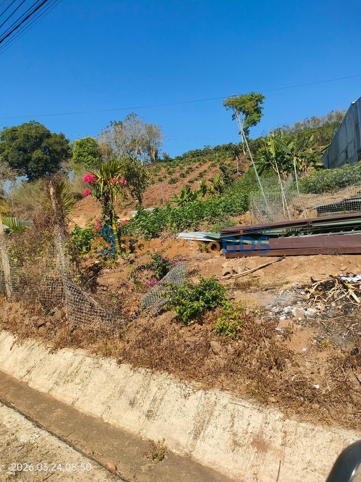 Đất Nền Lâm Hà 10800m² - Mặt Tiền Đường Nhựa 32m - Giá 4 Tỷ