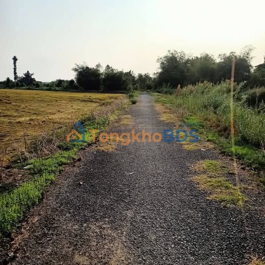 Bán đất lúa 8.871m² Đồng Tháp - Sổ đỏ, mặt tiền kênh, giá 1.848 tỷ