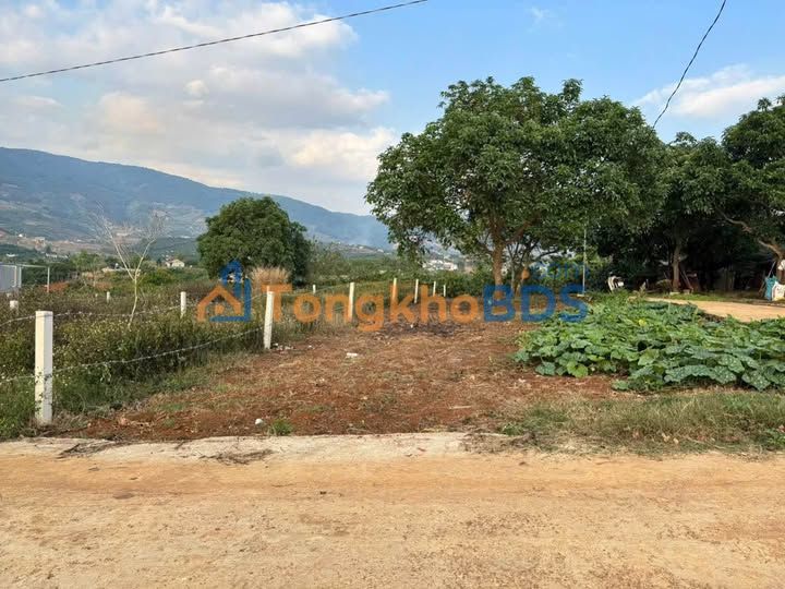 Đất Nam Ban Lâm Hà 214m² 680 triệu - Đất thổ cư 100%