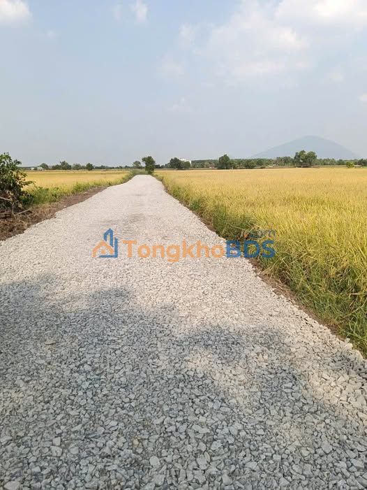 Đất Vườn 924m² Châu Thành, Tây Ninh - Giá Chỉ Từ 2xx Triệu