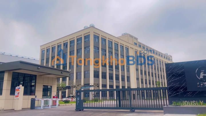 Đất Nền KCN Tân Hưng Lạng Giang 126m² - Sổ Đỏ Sẵn Sàng Đầu Tư