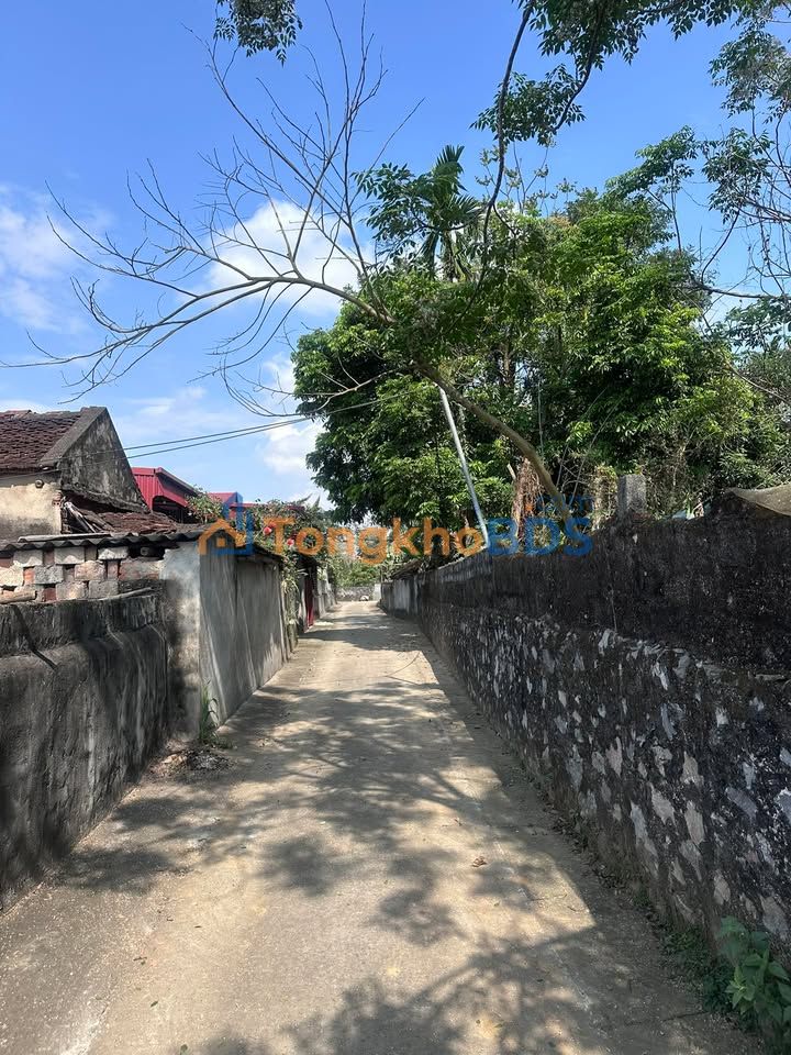 Đất nền Yên Trường 186m² 300 triệu - Đất thổ cư 100%