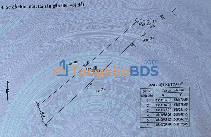 Đất Rừng Quảng Bình 4.5 Hecta - Sẵn Sàng Thu Hoạch, Lợi Nhuận Cao
