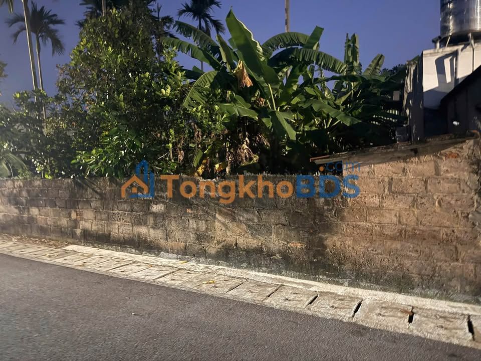 Đất Mặt Đường Thôn Thạch Lựu, An Lão - 130m² Kinh Doanh Sầm Uất