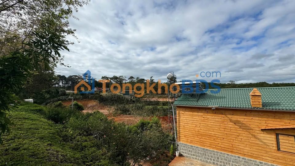 Đất Nền Đà Lạt 1121m² - Mặt Tiền 25m, View Rừng Thông & Thung Lũng - 5.5 Tỷ