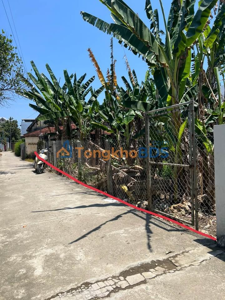 Đất nền Diên Khánh 182-194m² - Sổ hồng riêng, xây biệt thự vườn