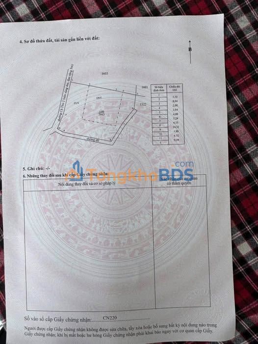 Bán Đất Mặt Tiền Tân Phú Đông, Tiền Giang - 264m² Sổ Hồng Riêng