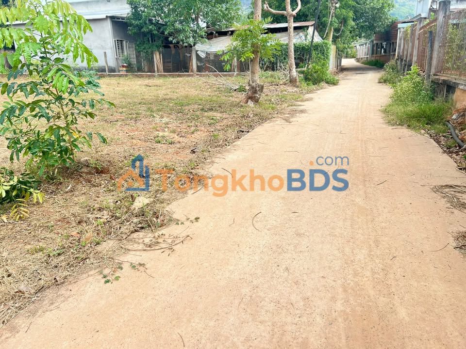 Bán Đất Thổ Cư 138m² Xuân Thành, Long Khánh - Giá Tốt, Dân Cư Đông Đúc