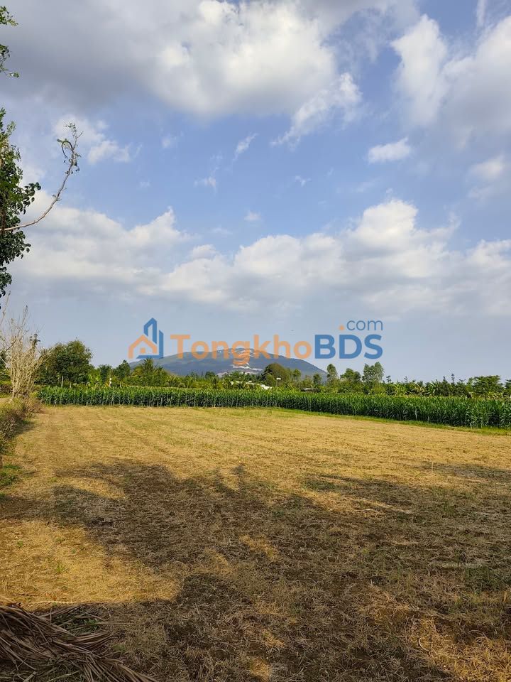 Đất nền Xuân Thọ Xuân Lộc 143m²/570tr - Sổ đỏ chính chủ