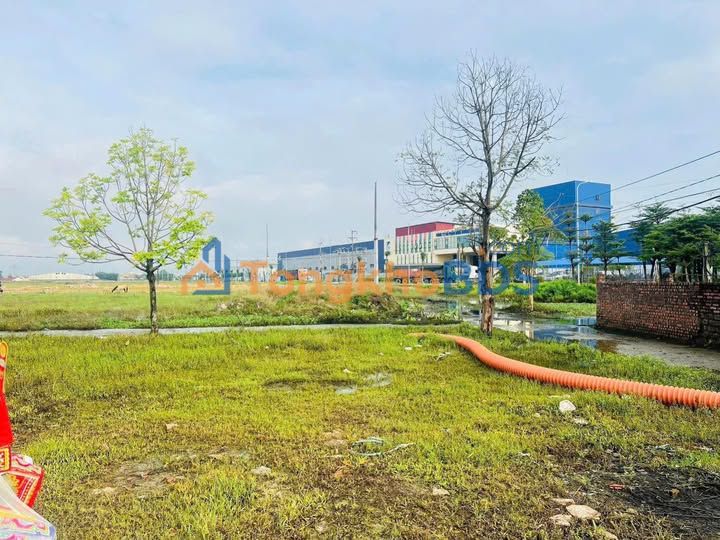 Đất Lô Góc 127m² Cạnh CCN Đoan Bái, Bắc Giang - Giá Tốt Đầu Tư