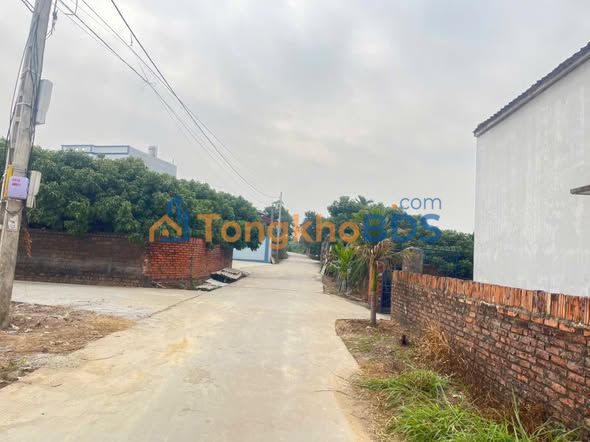 Đất Nền Tân Yên, Bắc Giang - 100m² Đường Trục Chính, Giá Chỉ 700 Triệu