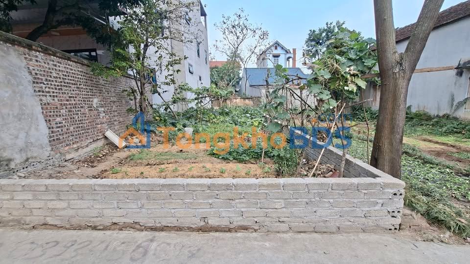 Đất nền TDP Đình Phú, Bắc Giang 125m² - Sổ đỏ sẵn, ô tô vào đất