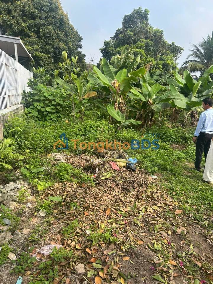 Đất thổ cư 162m² Trục 309 Kim Long, Vĩnh Phúc - Sổ hồng sẵn, giá 1 tỷ