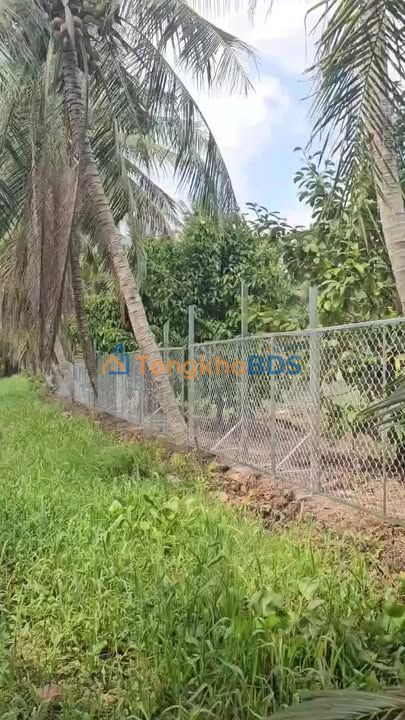 Bán đất mặt tiền 305m² Vĩnh Long - Lộ xe tải, gần chợ