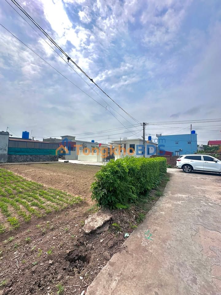 Đất nền Nam Trung, Tiền Hải 84m² - Đường to ô tô vào đất