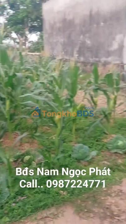 Đất nền Châu Sơn 200m² 400-499 triệu - Sổ đỏ chính chủ