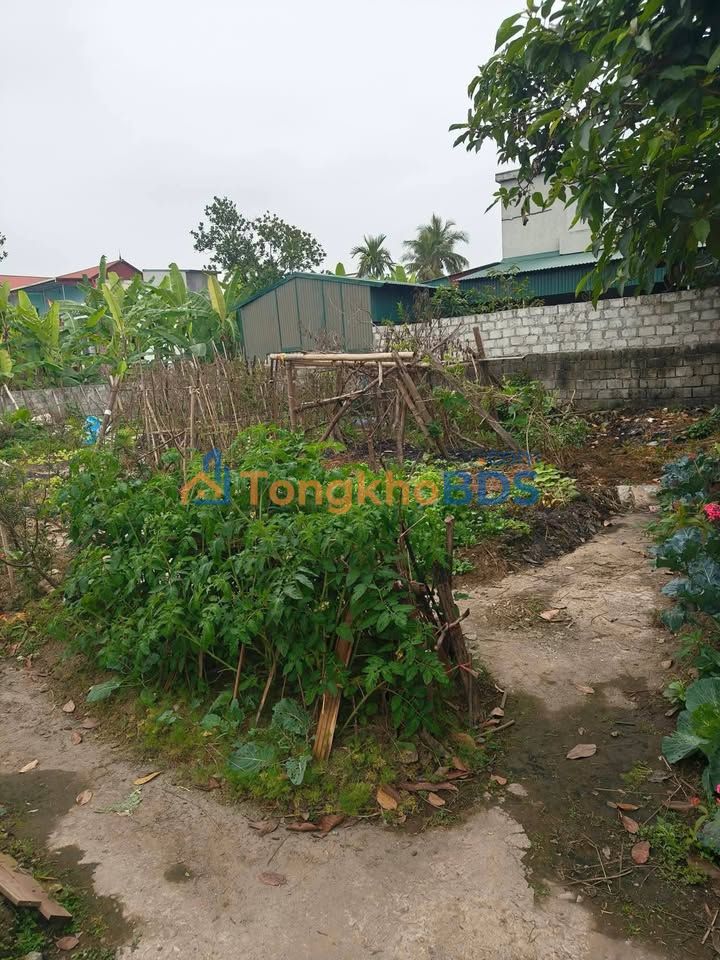 Đất nền 140m² thổ cư, Quỳnh Hồng - Cơ hội đầu tư sinh lời