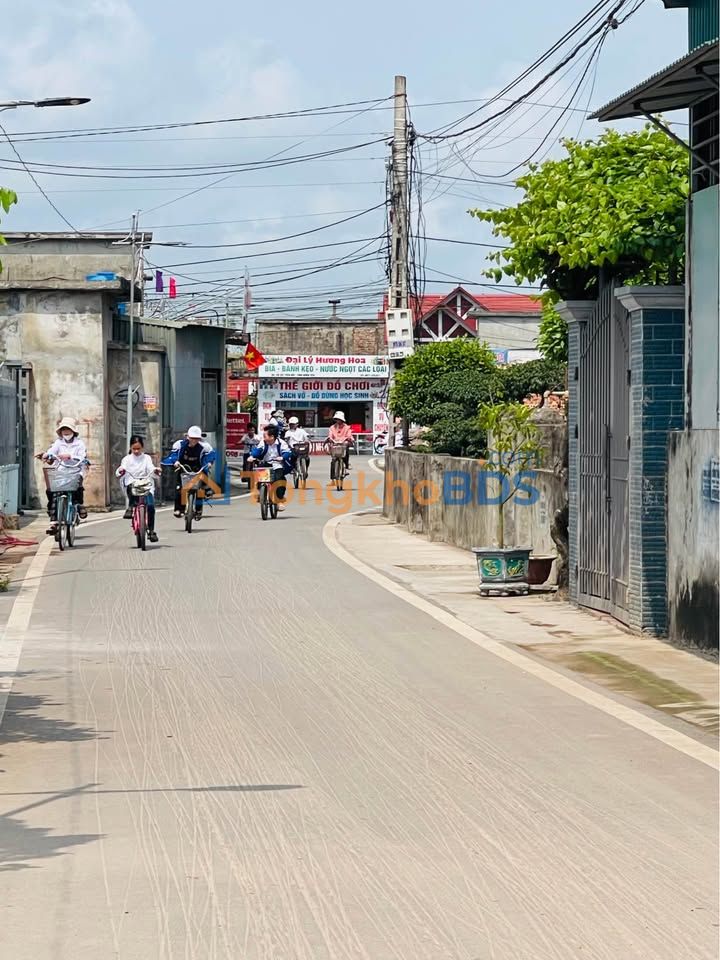 Đất Vàng Tiền Hải - Kinh Doanh Đắc Lợi 90.3m² Giá Chỉ 7xx Tỷ