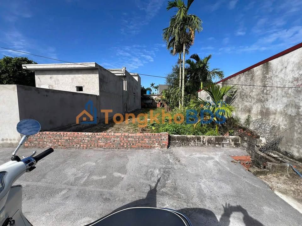 Đất Nền Thái Thụy - 100m² Sổ Đỏ, Ô Tô Tránh Nhau, Giá Hơn 1 Tỷ