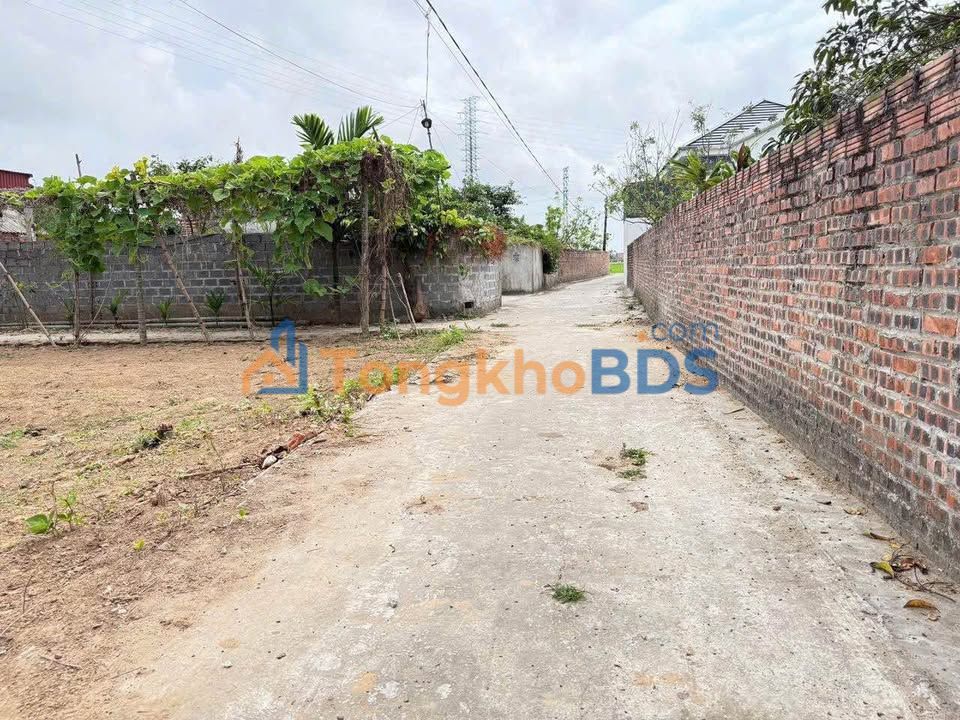 Bán Đất Nền Thái Thụy 100m² - Đường Ô Tô, Sổ Đỏ Chính Chủ