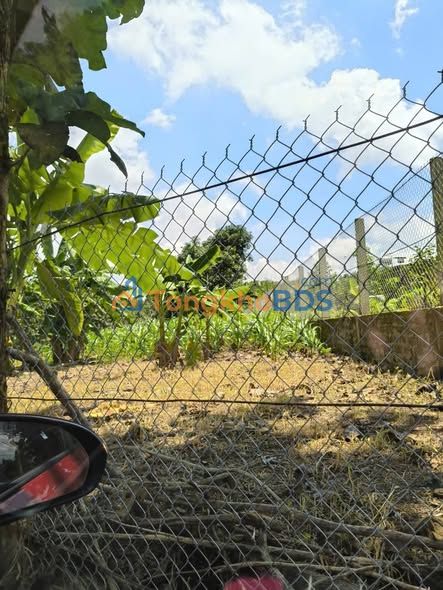 Đất nền Đồng Nai - 2192m² Ngọc Định, Định Quán - Giá 4.9 Tỷ - Sổ Riêng