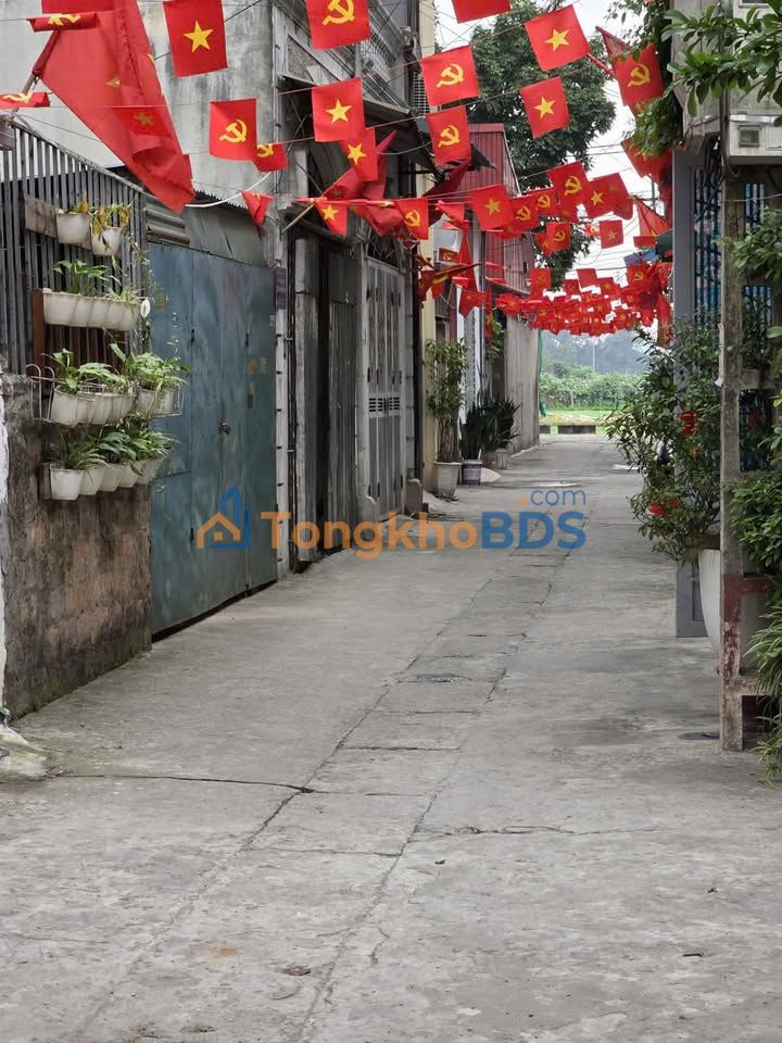 Đất Thọ Am 45m² Thanh Trì - Ngõ Ô Tô, Sổ Đỏ Sẵn Sàng