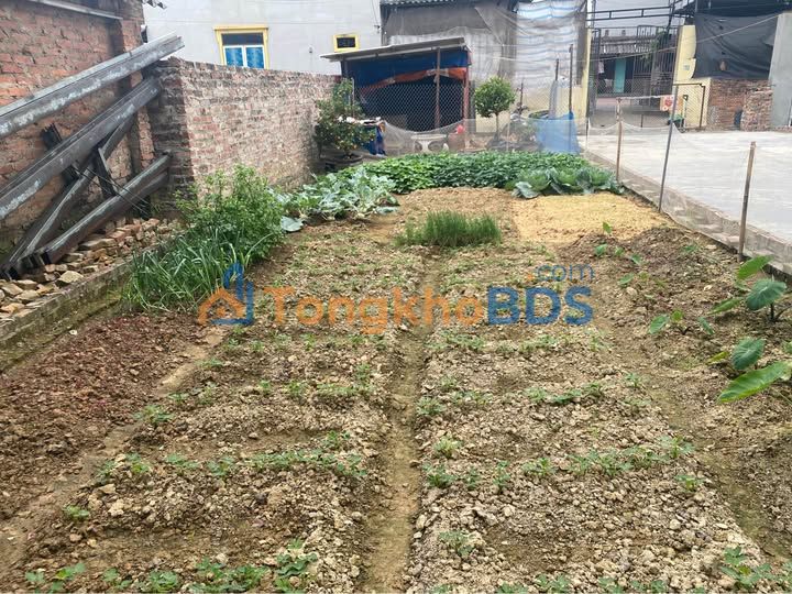 Bán Đất Yên Tàng, Mê Linh 80.5m² - Sổ Hồng Riêng, Giá Hơn 1 Tỷ