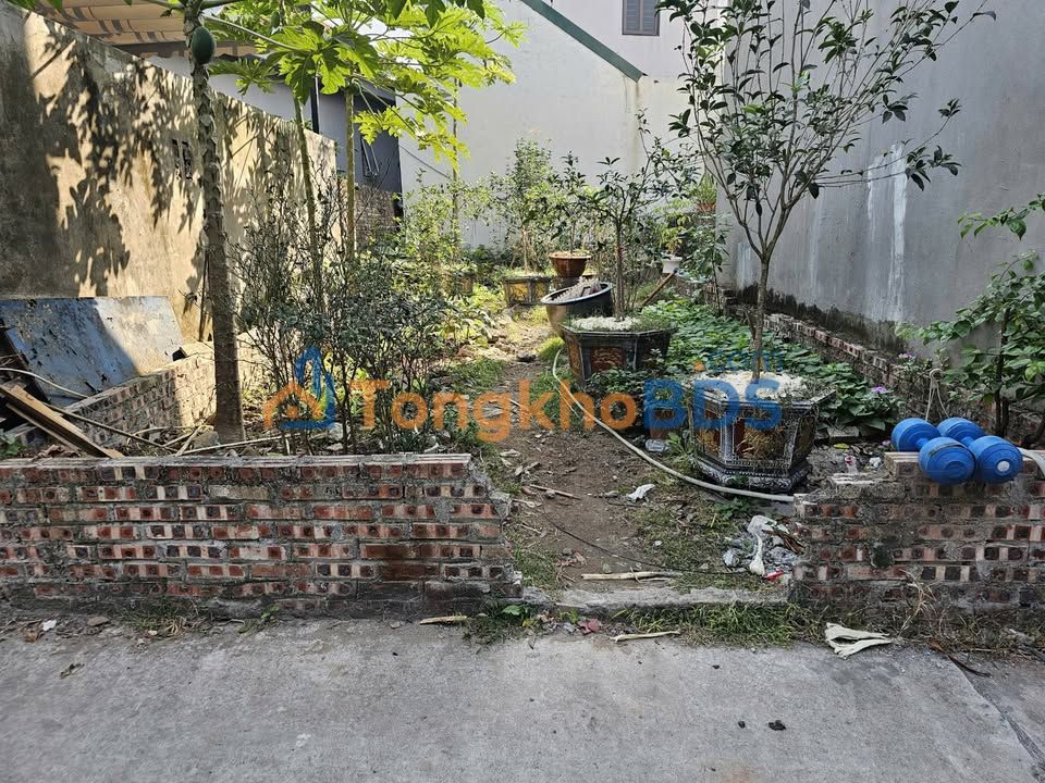 Đất Trâu Quỳ, Gia Lâm 40m² - Sổ Đỏ Sẵn Sàng, Cạnh Vinhomes Ocean Park