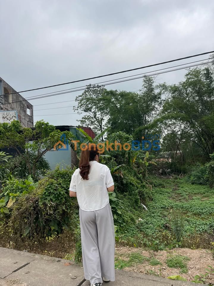 Đất nền Tỉnh Lộ 295, Bắc Giang 150m² - Đầu tư sinh lời!