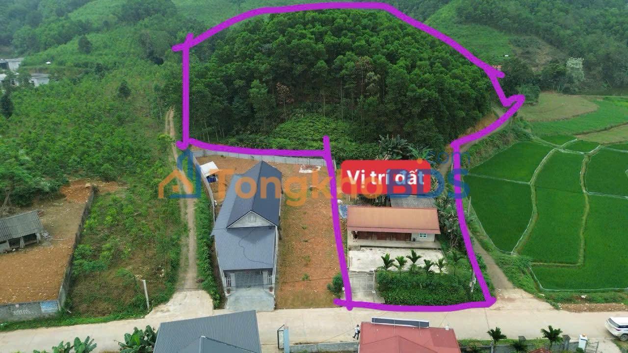 Đất Vườn Phú Thọ 3300m² - Sổ Đỏ Thổ Cư, View Cánh Đồng Thơ Mộng