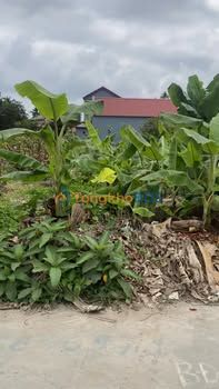 Đất nền An Hải An Dương 82m² giá 1.9 tỷ - Đường to ô tô