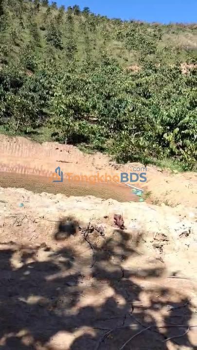 Bán Đất Vườn Xã Đạ Oai, Đạ Huoai, Lâm Đồng - 10.000m² Giá 820 Triệu