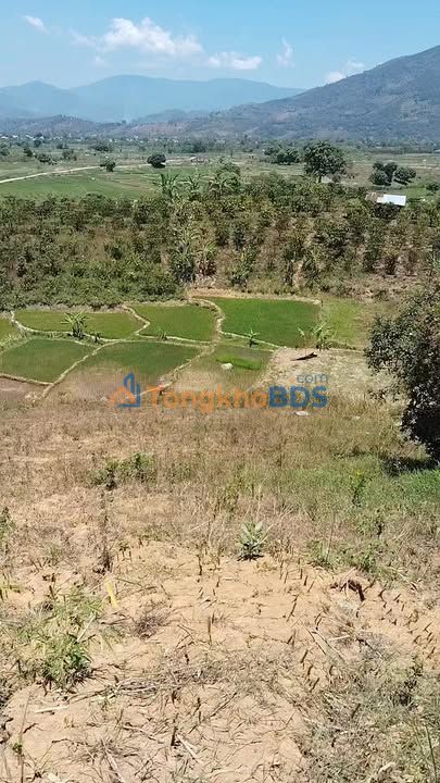 Đất Vườn 28800m² Sổ Hồng Tại Đạ Tông, Đam Rông, Lâm Đồng - Giá Đầu Tư 800 Triệu