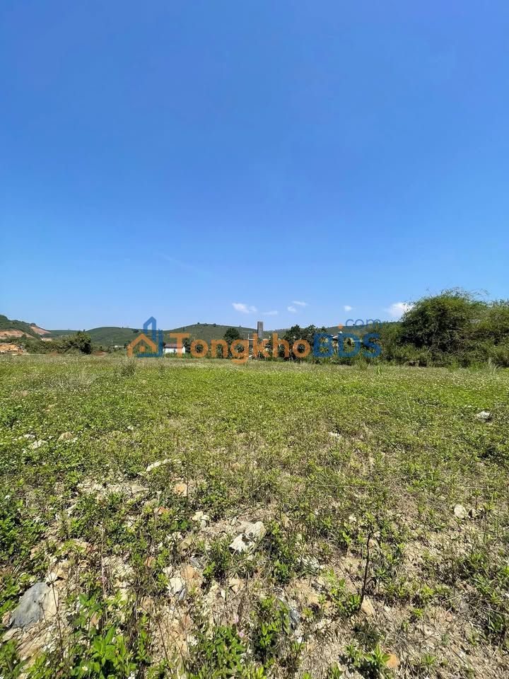 Bán Đất Đạ Đờn Lâm Hà 10000m² Sổ Đỏ - Mặt Tiền Bê Tông 12m Giá 4.5 Tỷ