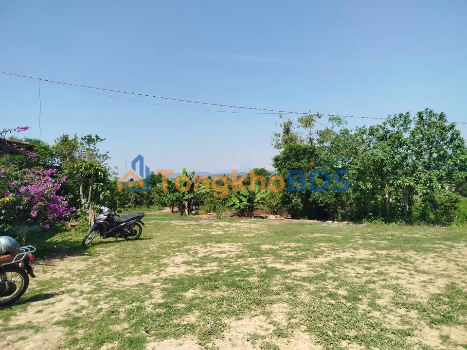 Bán Gấp Đất Nông Nghiệp 16.000m² Đức Trọng, Lâm Đồng - Có Sổ Đỏ