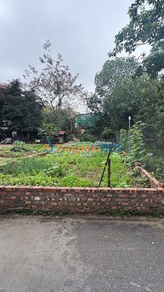 Đất Nền An Bình, Thuận Thành 54m² - Sổ Đỏ Chính Chủ, Giá 1.4 Tỷ