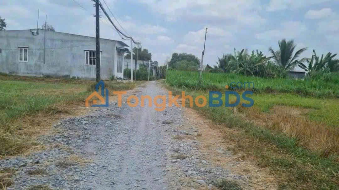 Đất nền Hòa Khánh Nam 260m² giá 1,5 tỷ - Sổ đỏ chính chủ