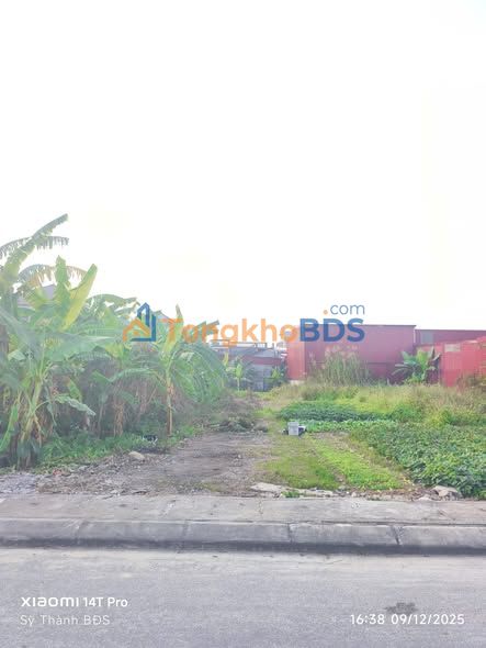 Đất nền Hòa Liễu 187m² 2.244 tỷ - Sổ đỏ chính chủ