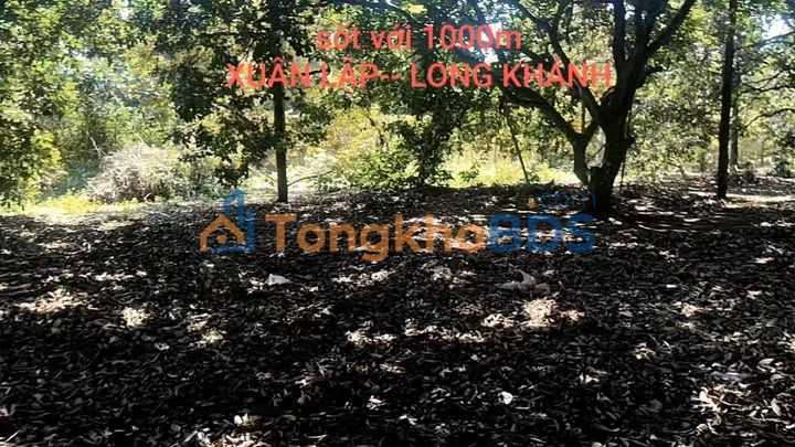 Đất nền Xuân Lập Long Khánh 720m² 1 tỷ - Sổ đỏ chính chủ